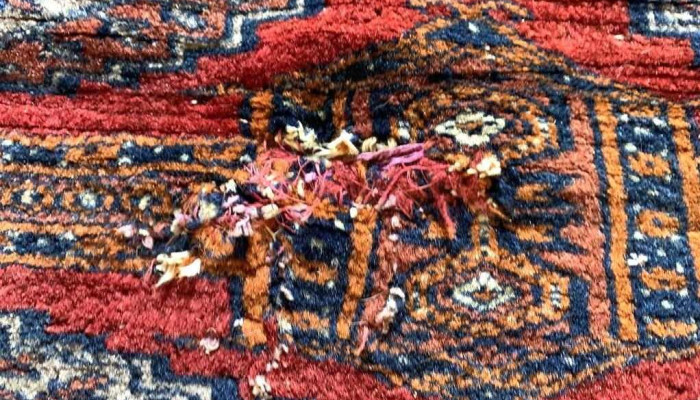 Alfombra Bukara 220 X154 4 - 06-12-2020