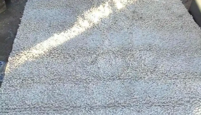 alfombra lana cruda 3,00 x 2,00