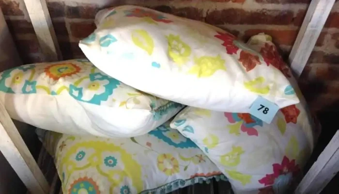 almohadones dfierentes colores