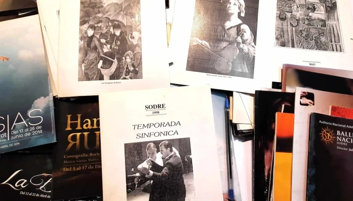 Aprox 80 Programas Del Sodre Ballet Na 2 - 05-06-2021