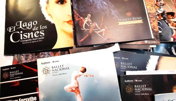 Aprox 80 Programas Del Sodre Ballet Na 3 - 05-06-2021