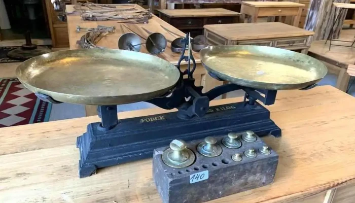 Balanza Forze De Dos Platos Con Cepo  25k
