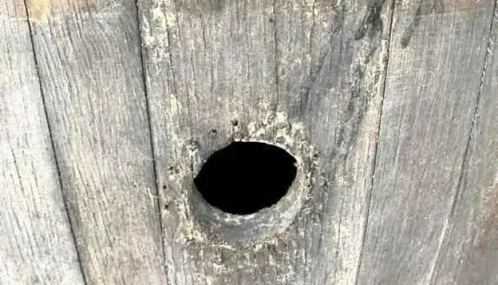 Barril En Roble -  3 - 06-12-2020
