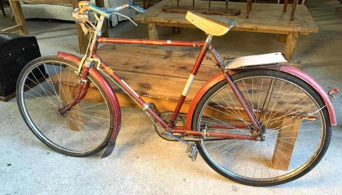 Bicicleta Genial Lucifer R28 Empipada 1 - 06-12-2020