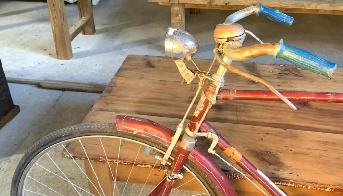 Bicicleta Genial Lucifer R28 Empipada 2 - 06-12-2020