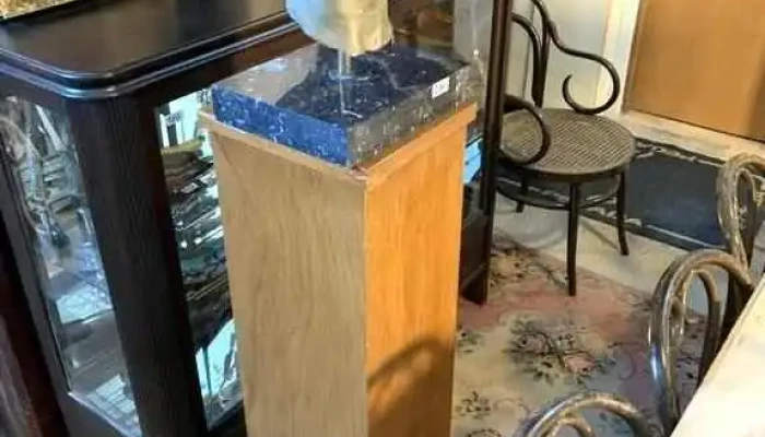 Busto Griego Y Pedestal De Madera -  2 - 06-12-2020