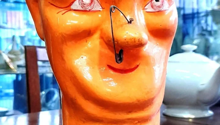 Cabeza de geniol sana