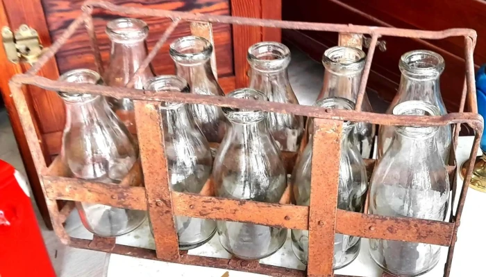 Casillero Con 12 Botellas Leche Boconas -  1 - 17-06-2021
