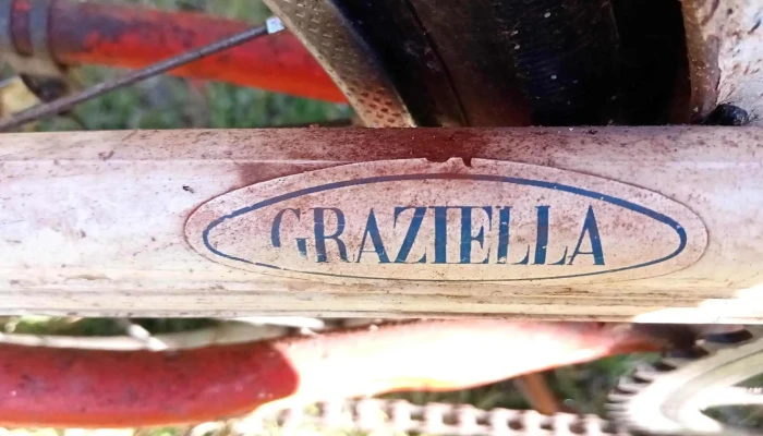 Cuchillo de trinchar Europeo 31 cm largo total Milano