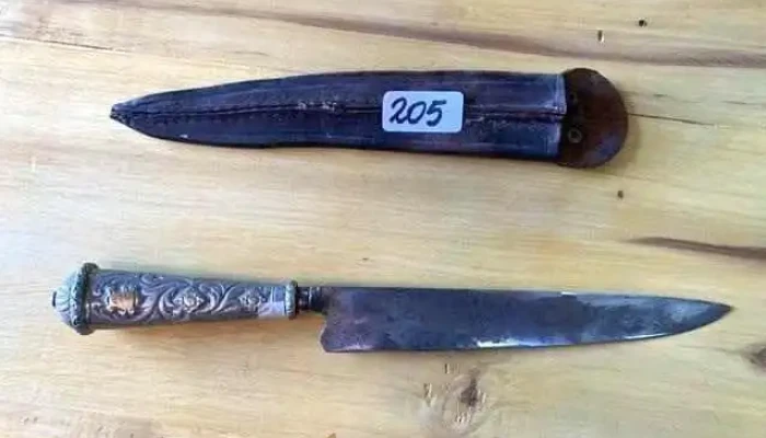 Cuchillo Gaucho Solingen Franz Wenk Hoj 3 - 06-12-2020