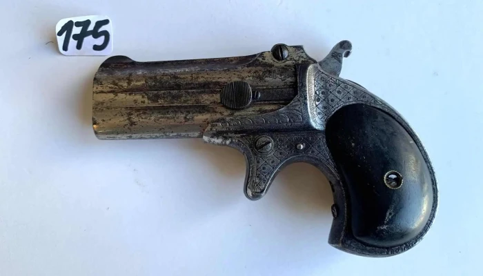 Derringer Belga Labrado 125 2 - 06-12-2020
