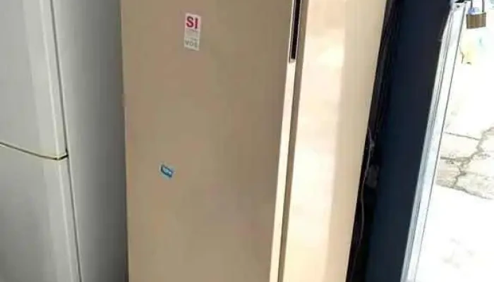 Freezer Vertical Prosdocimo