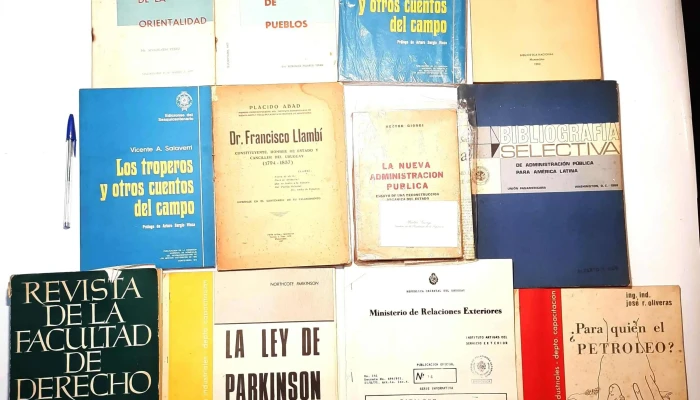 Gran Lote De Libros Politica E Historia 3 - 05-06-2021