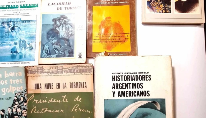 Gran Lote Libros Historia Argentina Y Mu 3 - 05-06-2021