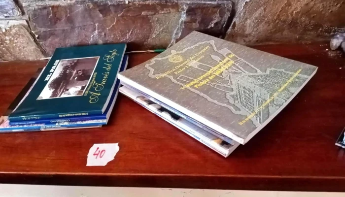 Gran Lote Libros Historia Argentina Y Mu 4 - 05-06-2021