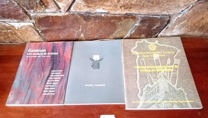 Gran Lote Libros Historia Argentina Y Mu 5 - 05-06-2021