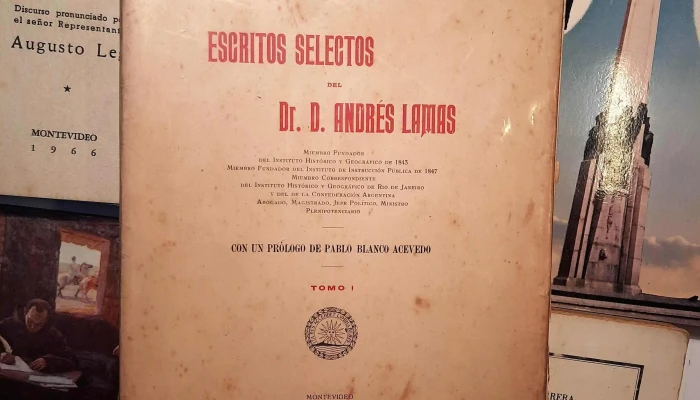 Gran Lote Libros Rodo Artigas Latorre 6 - 05-06-2021