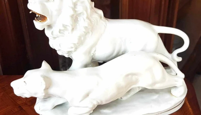 Grupo de loza sellado león y pantera sano