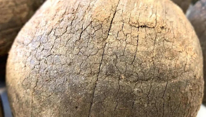 Juego De Bochas De Madera Dura Originale 3 - 06-12-2020