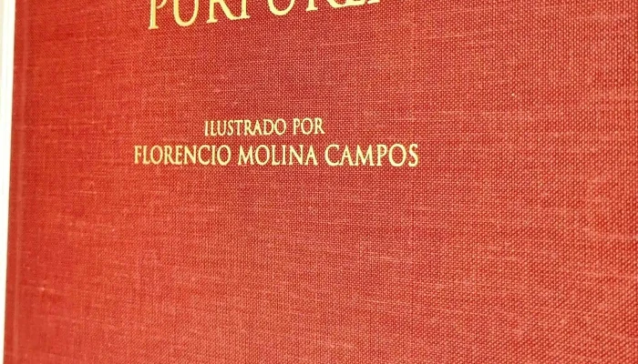 Libro La Tierra Purpurea Con Ilustacione 3 - 17-06-2021