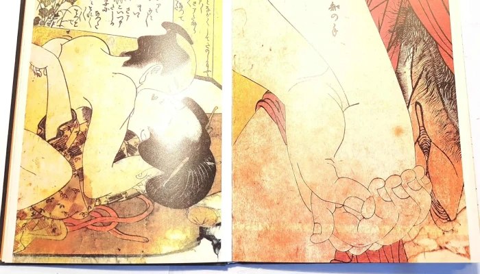 Libro Shunga Japones Erotico Escrito En 2 - 05-06-2021