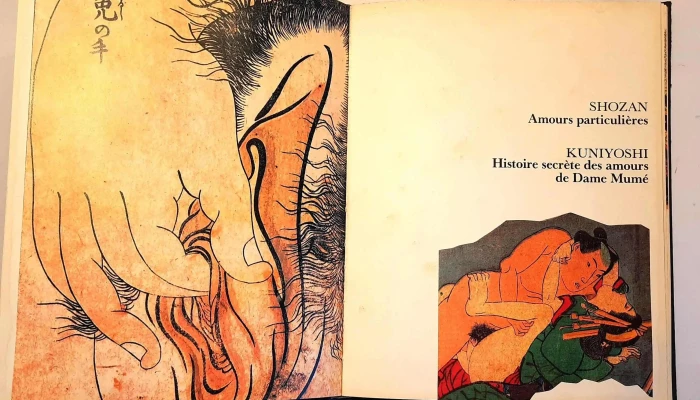 Libro Shunga Japones Erotico Escrito En 3 - 05-06-2021