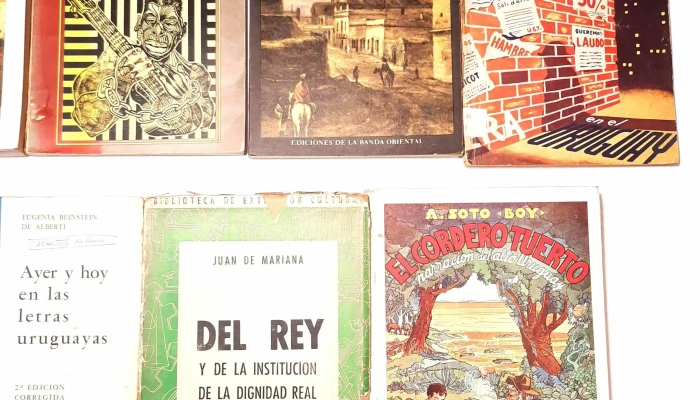 Libros De Literatura E Historia Nacional 3 - 05-06-2021
