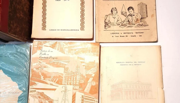 Libros Varios Sobre Historia De Paises S 3 - 05-06-2021