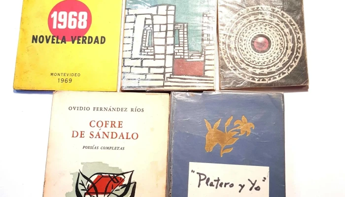 Literatura Uruguaya Novelas Cuentos Qu 7 - 05-06-2021