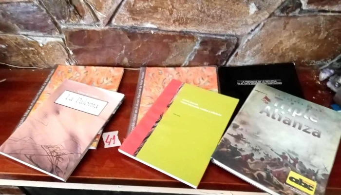 Lote De Libros Argentinos Sarmiento Art 4 - 05-06-2021