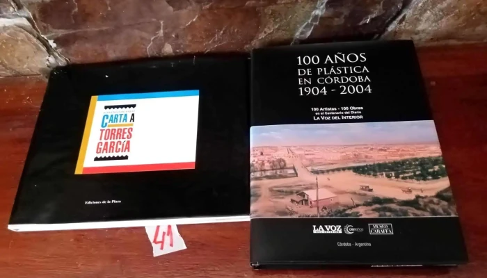 Lote de Libros Argentinos Sarmiento, Artigas, Revolucion,etc