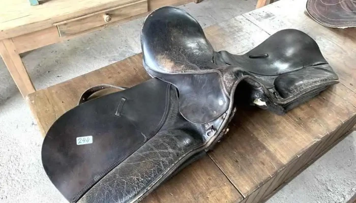 Montura De Raid Con Averias