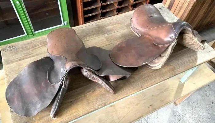 Monturas De Raid -  1 - 06-12-2020