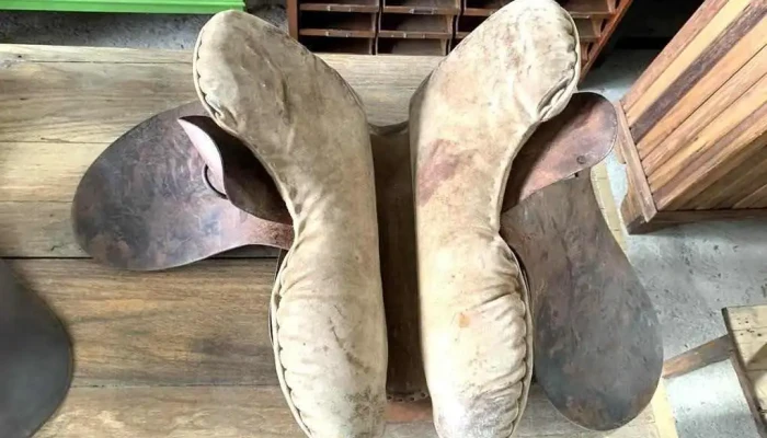 Monturas De Raid -  4 - 06-12-2020