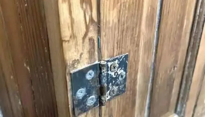 Mueble Auxiliar En Pinotea 1 Puerta 1 Ca 7 - 06-12-2020
