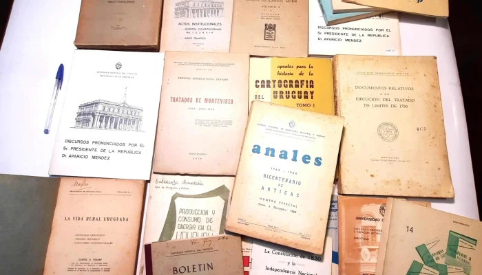 Otro Gran Lote De Libros Politica E Hist 1 - 05-06-2021