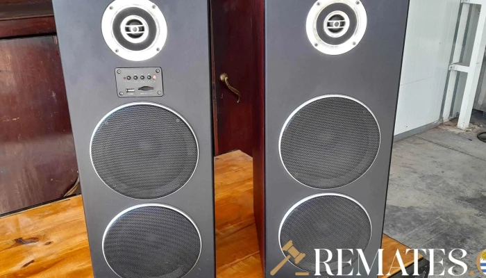 Par De Parlante Con Usb Y Sd -  3 - 17-06-2021