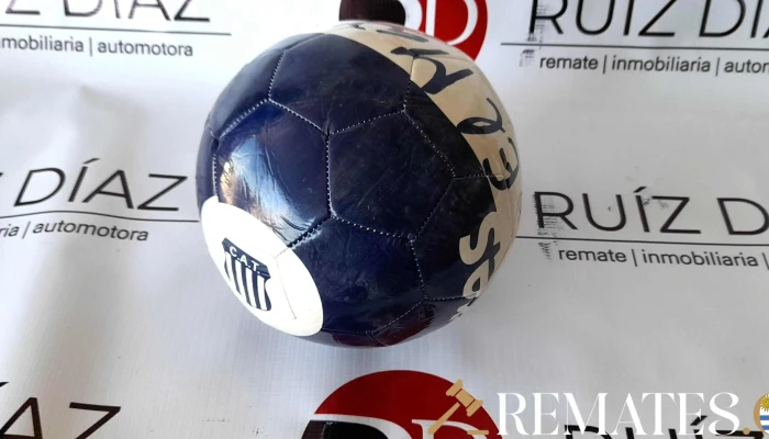 Pelota Azul Y Blanca -  1 - 17-06-2021