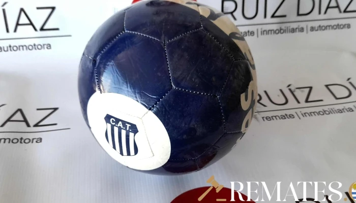 Pelota Azul Y Blanca -  2 - 17-06-2021