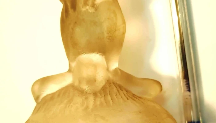 Personaje Piolin En Cristal Publicidad W 3 - 05-06-2021