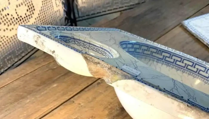 Pileta Francesa De Bano 048 X 040 Y Pa 6 - 06-12-2020