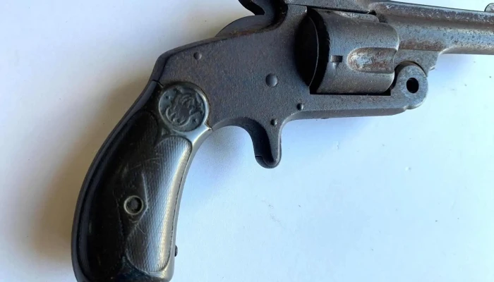 Smith Wesson 3 - 06-12-2020
