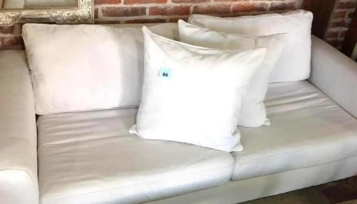 Sofa 2 Cuerpos Tapizado Entela Aqua Clea 1 - 29-11-2020