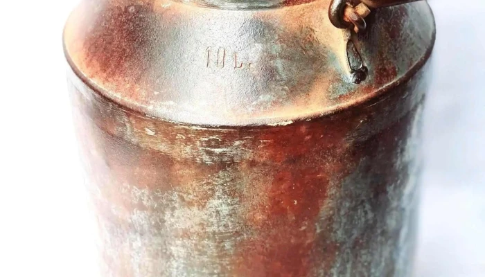 Tacho Lechero 10 Litros Chapa Galvanizad 1 - 17-06-2021