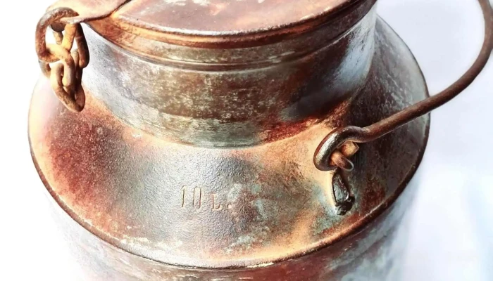 Tacho Lechero 10 Litros Chapa Galvanizad 2 - 17-06-2021