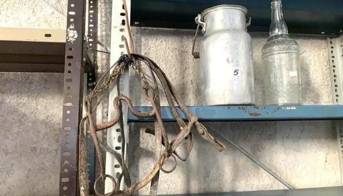 Tarro Lechero, Botella Aceite Manzanares Y 1 Freno