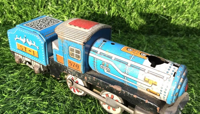 Tren De Chapa -  1 - 22-08-2021